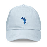 dolphin embroidered hat